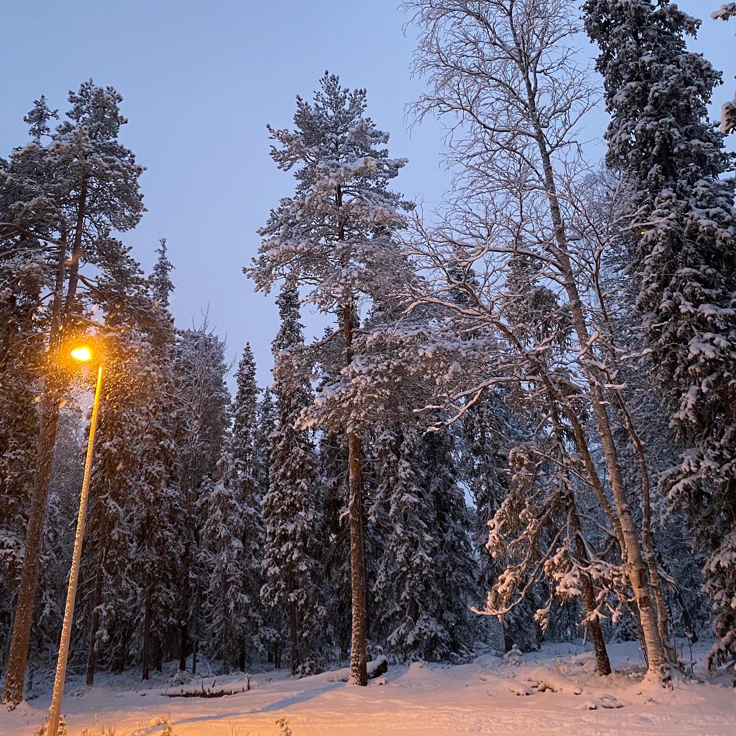 lapland